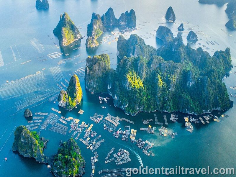 Hanoi Halong Bay Tour 5 Days